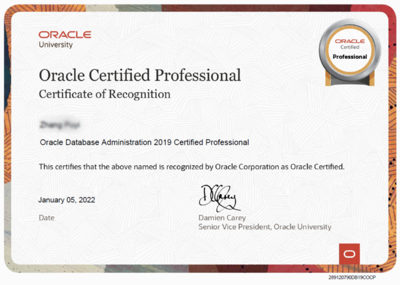 ORACLE OCA+OCP認(rèn)證培訓(xùn) 開啟專業(yè)數(shù)據(jù)庫管理職業(yè)生涯