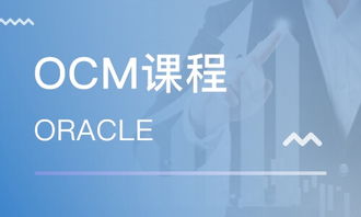 上海OCM課程價(jià)格與Oracle認(rèn)證培訓(xùn)指南 哪家機(jī)構(gòu)更值得選擇？